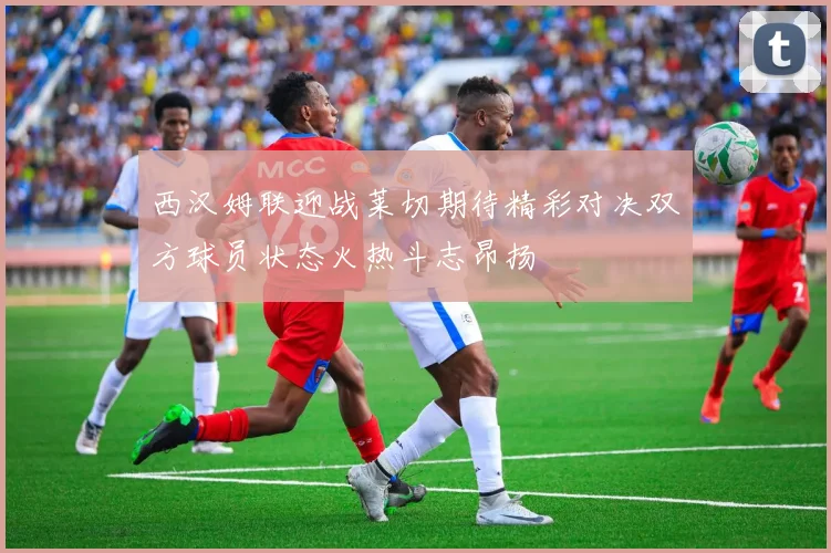 西汉姆联迎战莱切期待精彩对决双方球员状态火热斗志昂扬
